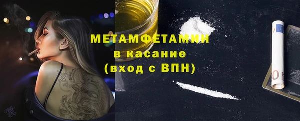 индика Володарск