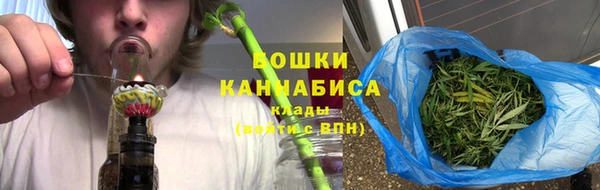 индика Володарск