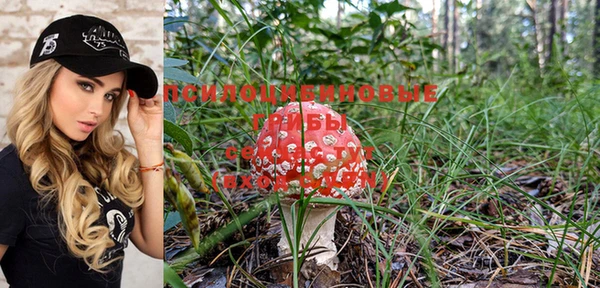 индика Володарск