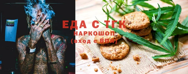 индика Володарск