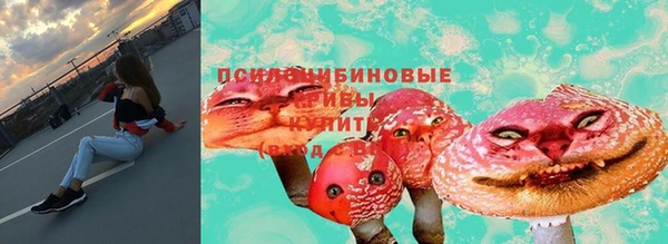 индика Володарск