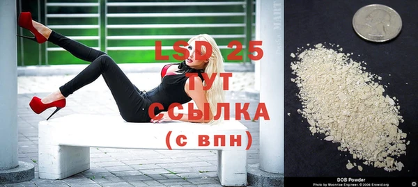 индика Володарск