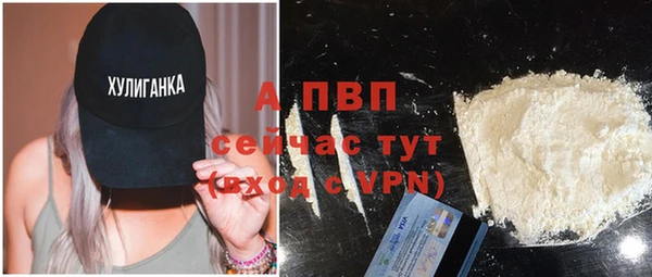 индика Володарск