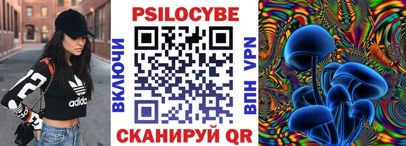 Купить закладки  Крымск  Псилоцибиновые грибы Magic Shrooms 